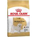 bichon frise adult crocchette per cane 1 5 kg