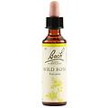 wild rose bach orig
