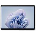 pro 10 i5/8/256 w11pro platinum (zdr-00004)