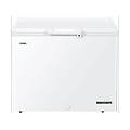 congelatore pozzo hce301e classe e