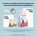 cat holistic sterilised busta multipack 30x70g pollo