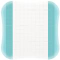 coloplast comfeel plus trasp 15x15 5pz