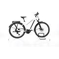 ebike ricondizionata · route e. 530 · come nuovo