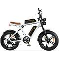 bicicletta elettrica m20 stile motociclistico doppia batteria