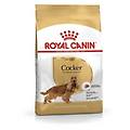 italia spa cocker adult cibo secco per cani 3kg