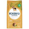 adult maintenance crocchette al pollo con patate cani adulti taglia piccola sacco 2kg