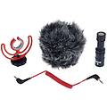 videomicro