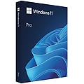 prodotto in pacchetto completo windows 11 pro (fpp) 1 licenza/e