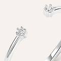 anello bilogy sophia oro bianco diamante collezione sophia misura 52 oro bianco