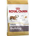 mangime bulldog adult adulti