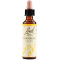 Schwabe 17 Hornbeam Gocce 20 Ml