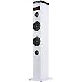 NGS altoparlante 50w bluetooth 2 torri usb radio fm aux bianco