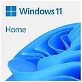 - windows 11 home 64-bit deutsch (kw9-00638)
