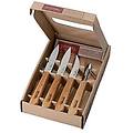 set coltelli da cucina 4 pezzi manico in legno