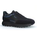 suede sneaker