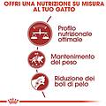 Royal Canin Cibo Per Gatti Fit 32 10 Kg