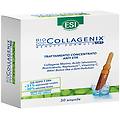 bio collagenix 30 ampolle