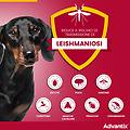 Bayer Spot On Per Cani Oltre 40 Kg Fino A 60 Kg