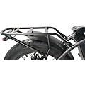 VOLT fat bike 20 alpha