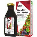 gmbh & co kg floradix-integ ferro 500ml
