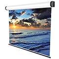 electric professional schermo per proiettore 2 87 m (113") 16 9 (5252)