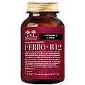 SALUGEA (reload srl) ferro+b12 60 cps