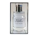 eclat d'arpege pour homme eau de toilette spray