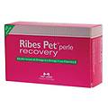 n. b. f. lanes pet perle 60 compresse recovery