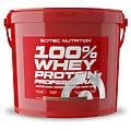 whey 100% whey protein professional biscotti e crema al cioccolato nutrition