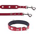 set collare e guinzaglio swiss collare tg. 55 + guinzaglio 2 m x 1 8 cm