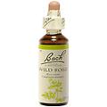 bach wild rose 20 ml