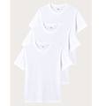 multipack maglie da uomo scollo rotondo daily / bianco ottico / xl bianco ottico