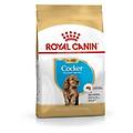 cocker puppy cibo secco per cani 3kg