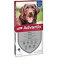 spot on per cani da 25 a 40 kg soluzione 4 pipette da