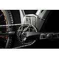 mtb e-bike ridon ht 504 10 250w 8o nm 504wh 9v
