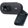 Logitech Webcam C505 Webcam 960 001364