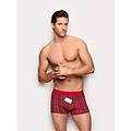 boxer scozzese tartan hello xmas / stampato / 3 stampato
