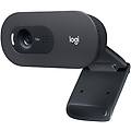 Logitech Webcam C505 Webcam 960 001364