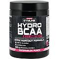 gymline hydro bcaa 2 1 1 instant watermelon punch 335g