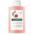 shampoo melograno 400 ml