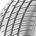 radial ra14 205/60 r16 100/98t 