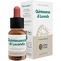 italia srl quintessenza lavanda ecosol
