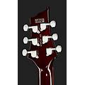 cst-24hb tortoise flame tortoise flame lucido