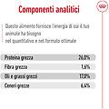 maxi adult 5+ alimento secco completo per cani maturi di taglia grande 15kg