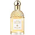 aqua allegoria forte mandarino basilico edp spray