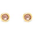 orecchini donna loop cipria piccoli 12137