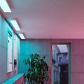 plafoniera led smart moradillo-z bianco 14 cm