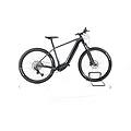 ebike ricondizionata · ebig. nine 600 ep2 · come nuovo