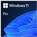 windows pro fpp 11 64-bit italian usb