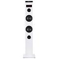 sky charm altoparlante a torre bluetooth 50w con telecomando ingresso ottico usb radio fm e aux in